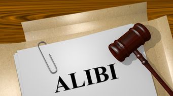 New Restrictions on Alcohol Advertising: Is Alibi Branding Also Prohibited?