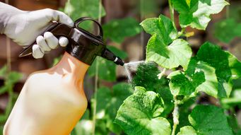 California Takes Action on PFAS in Pesticides