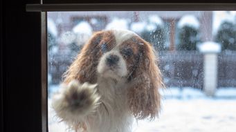 review of the change