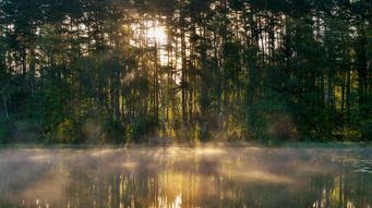 Magistrates sanctioned over interactions and reactions update