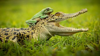 Former attorney general warns over Henry VIII powers