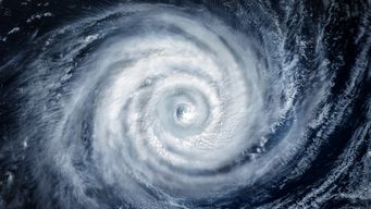Policy-Driven Claims Handling in Gulf Coast Hurricane Season