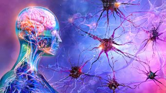 Unlocking the MIND Act: The Senate To Take on the Challenge of Neurotechnology | Alston & Bird Privacy, Cyber & Data Strategy Blog