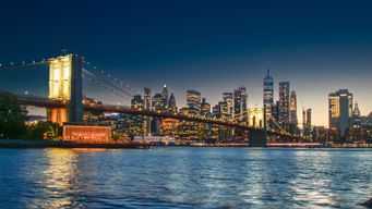 New York LLC Transparency Act Key Requirements & Steps to Prepare | Alston & Bird