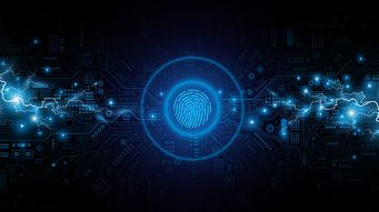 Consistency Is Key for Immigration Filings in a Super Intelligence World