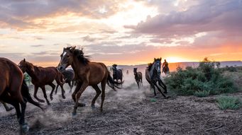 Rescission of the Harm Definition: Is a New Day Dawning?