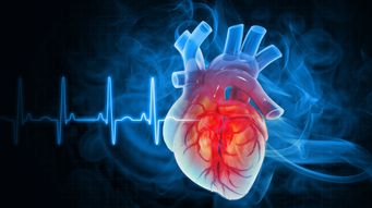 The Remarkable Way Transplanted Hearts Adapt to Their New Homes