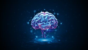 Developments in spinal injury research - “double neural bypass” technology