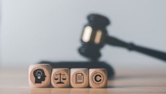 Tackling Malicious Patent & Design Litigation: Insights from China’s SPP