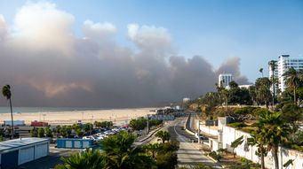 Addressing State and Local Failures to Rebuild Los Angeles After Wildfire Disasters