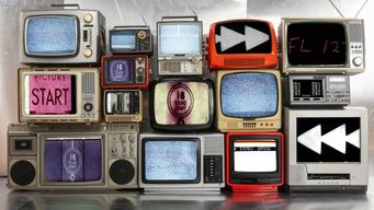 Business Technology Choices: One ERP to Rule Them All - or a Whole Herd?