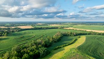 Missouri Eases Audit Burden for Small and Emerging Third-Party Administrators: Amendment to 20 CSR 200-9.800