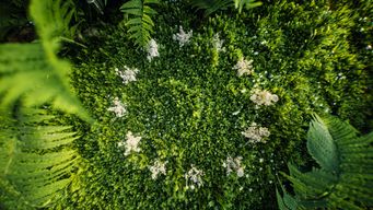 Summary: Simplification of EU Sustainability Reporting