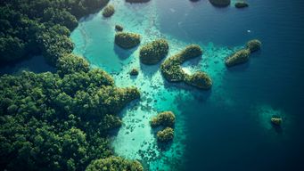 Washington – Ecology Proposes Linkage to Connect Washington, California, and Québec Carbon Markets