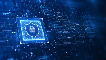 Beyond the Flip: Data Protection Considerations for U.S. Expansion