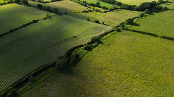 The Farming Profitability Review and the new Farming and Food Partnership Board: what’s new and what do you need to know?