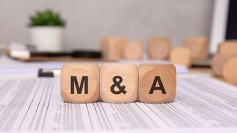 Mergers and Acquisitions in a Contracting Wine Industry: Key Valuation and Deal Structuring Issues
