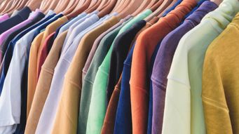 House marks, sub-brands and indirect confusion: lessons from the Shein Belle and Shein Icon decisions
