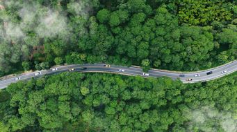 The Supreme Court Has Spoken: What the Montgomery Decision Means (and Doesn’t) for Transportation Brokers and the Top Ten Critical Next Steps