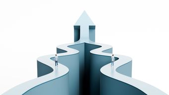From Combination to Cohesion: Client Feedback as a Strategic Integration Tool in Law Firm Mergers