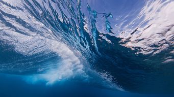 TDEC Adopts Amendments to its Aquatic Resource Alteration Permit (ARAP) Regulations Providing Clarity and Reducing Regulatory Barriers to Development in Tennessee.