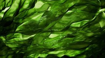 Algae Scope's bio-based answer to PFAS