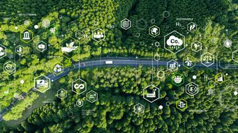 Potential Listing of Flame Retardants DBDPE and TBPH in Stockholm Convention on Persistent Organic Pollutants (POPs)