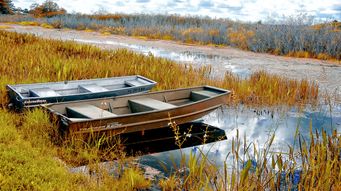 Recreational Immunity in the Gulf Coast: Hunt, Fish, and Limit Risk