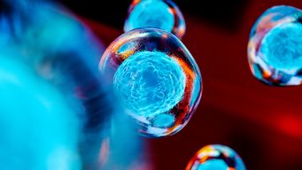 Combination Therapies and Cost-Containment: a European Update