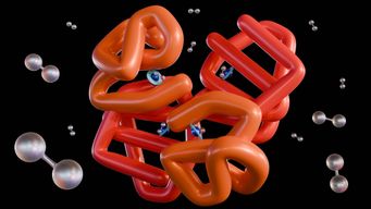 Allosteric Antibodies and Machine Learning: A Transformative Force in Drug Discovery