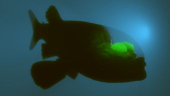River Fishing – A guide to getting started (via Passle)