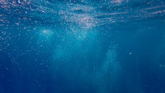 New study suggests that our waters are running out of breath
