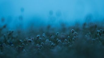 Old economy, old rules: Bronner doctrine survives Lukoil test