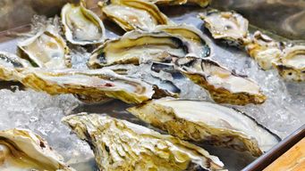 Key Maryland Oyster Aquaculture Developments