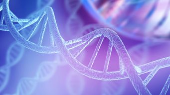 The Perils of Junk Science