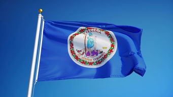 Virginia is for... Cannabis Lovers… in 2024?