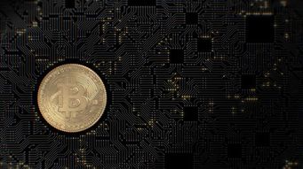 Veronica Renzi Moderates Panel Discussion on Crypto Regulations &amp; Pending Legislation