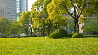 EPA to Increase Review of Voluntary Self-Disclosures of Violations