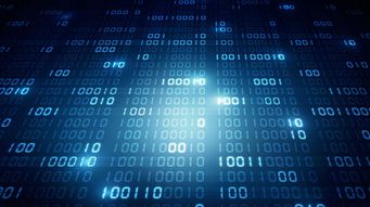 Training and Testing AI Involves Business Risk