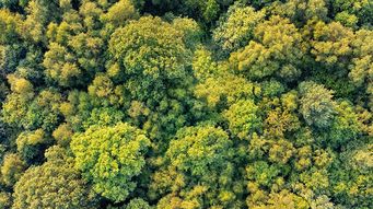 Council on Environmental Quality Proposes Changes to its Regulations