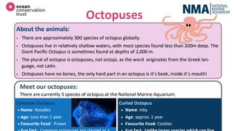 Post showing PDF as featured media