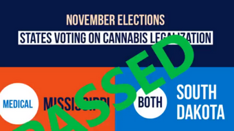 Major Wins for Cannabis Industry in 2020 Election