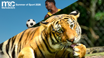 The Curious Case of the Tiger Stripes: Who Really Owns the Roar of the Harimau Malaya?