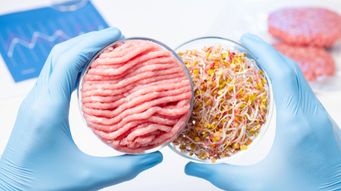Legal Challenge to the FDA's Approval of "Blood" in Plant-Based Meat