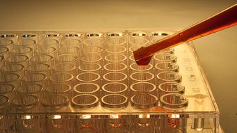 New Blood Test to Guide Personalized Cancer Treatment
