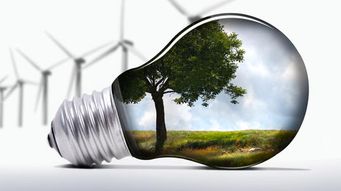 Green Innovation Being Fast Tracked by USPTO