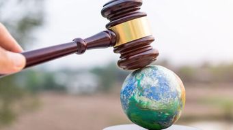 New York Attorney General Sues JBS for its Climate Claims