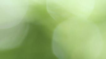 Womble Bond Dickinson Launches Multi-Disciplinary Team to Guide Cannabis Sector