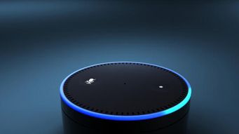 “Alexa, Can You Receive a Patent?”: Chris Mammen Discusses AI as Inventors in MIT Technology Review Article