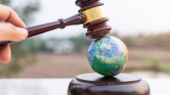 Protect Your Company From Claims of Greenwashing (Directors & Boards)